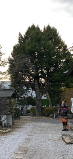 東京