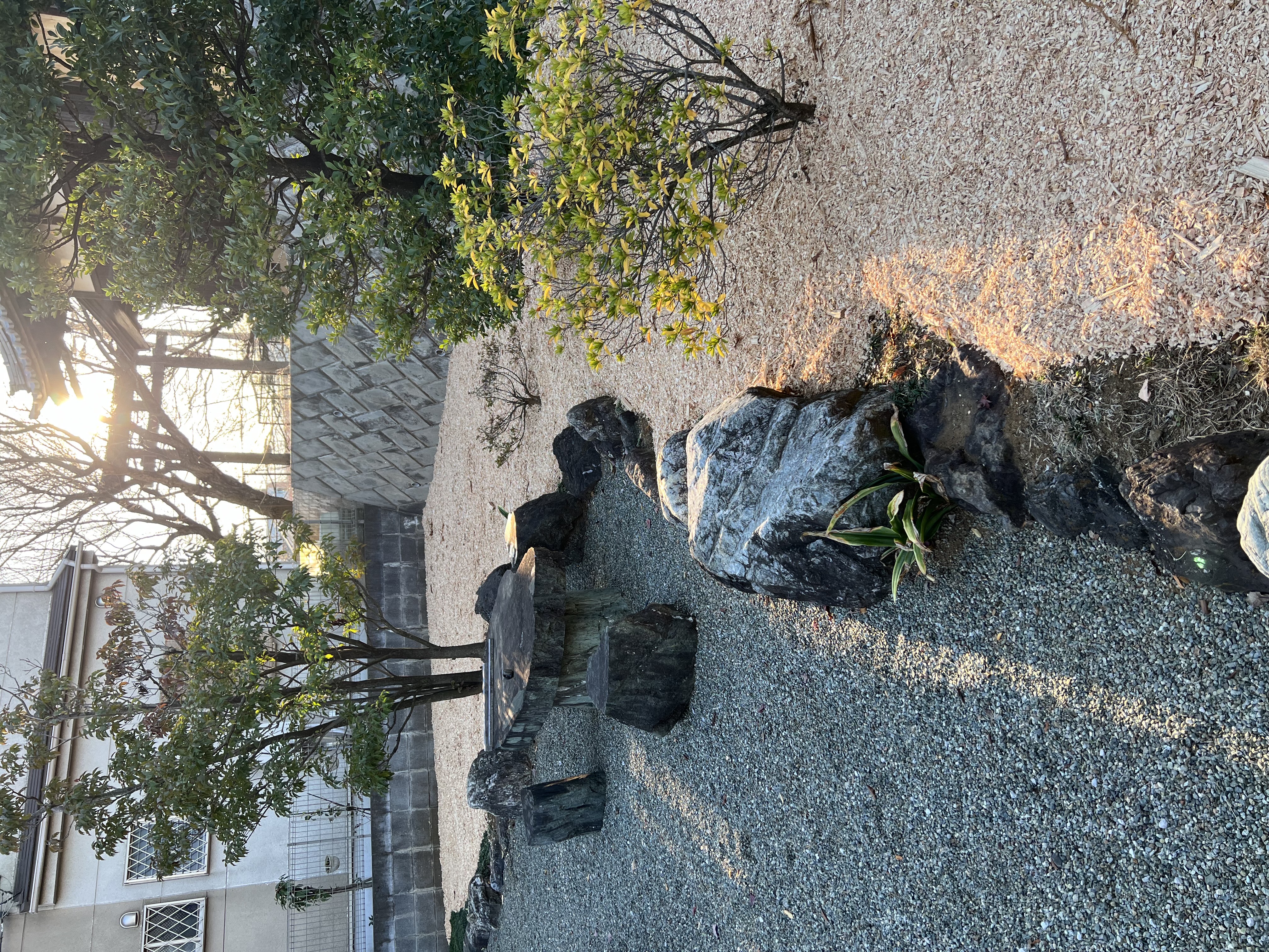 自然と触れ合う