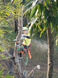 遠方のお客様も歓迎