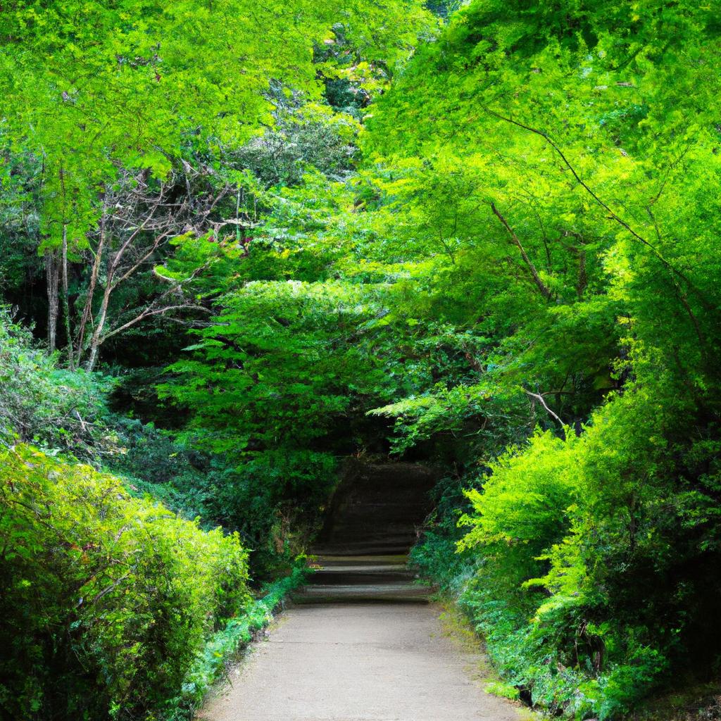 美しい景色を楽しむ散策スポット